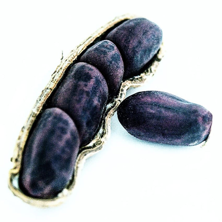 Peanut Seeds, Schronce&