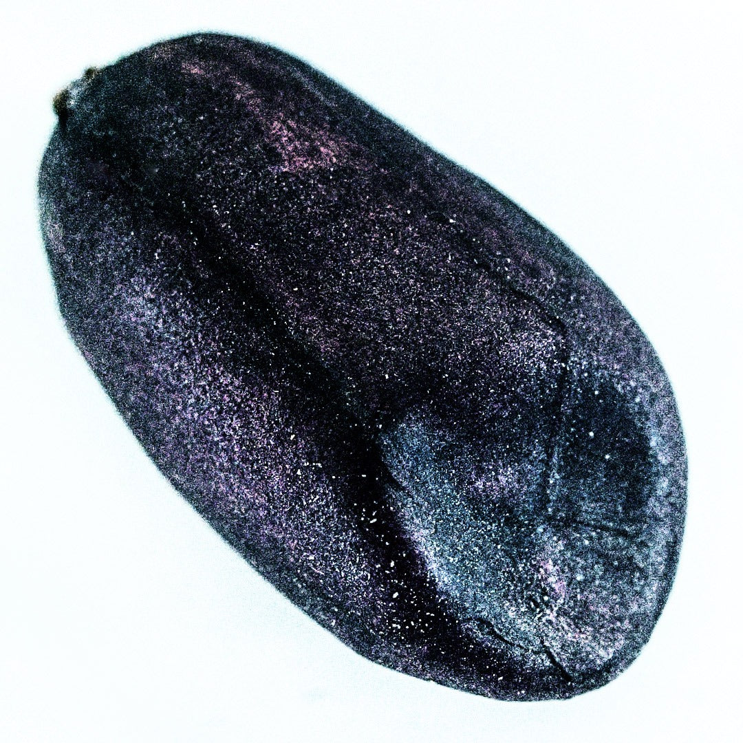 An extreme close-up of a single Schronce&