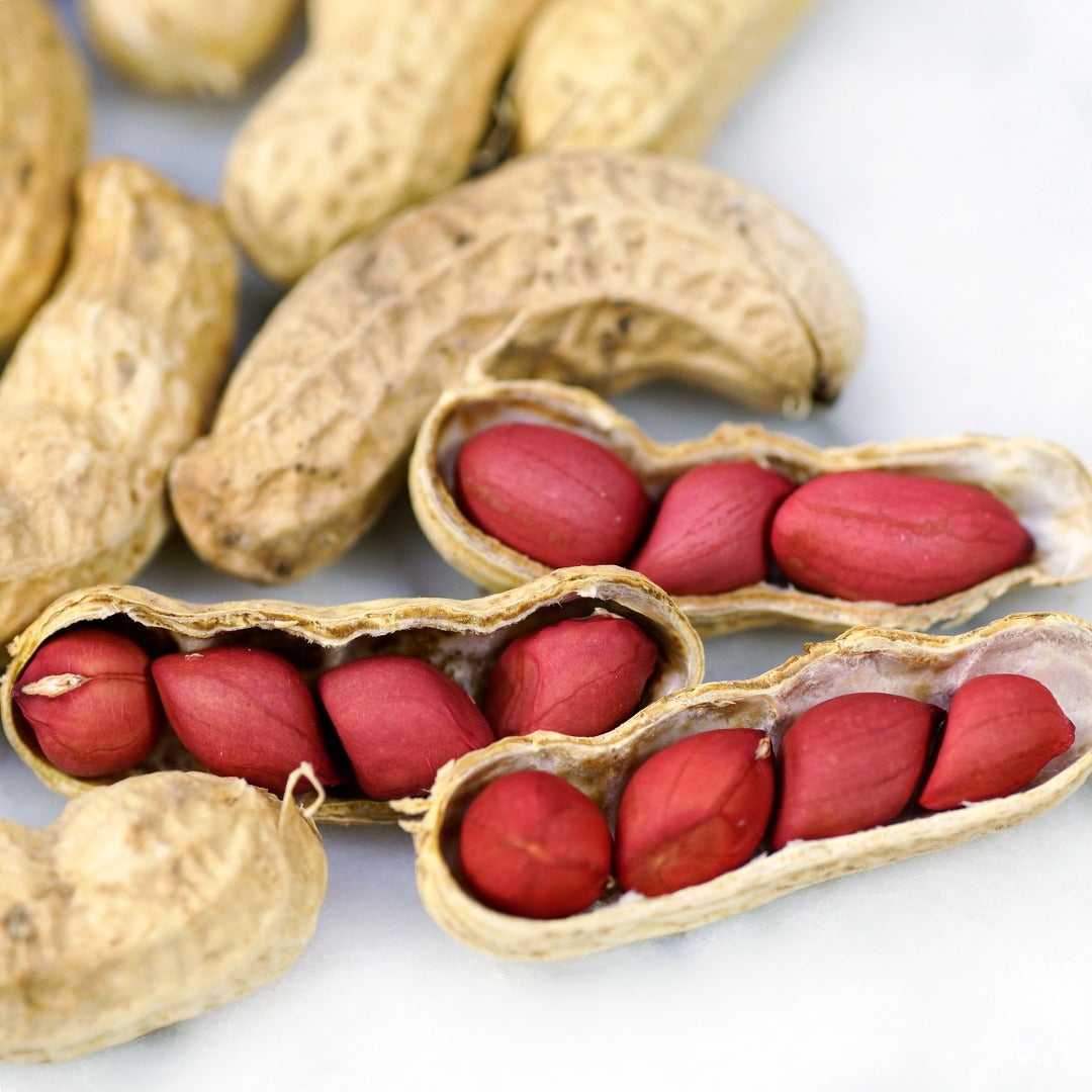 A close-up of Tennessee Red Peanuts in the shell and loose on a white marble table top.