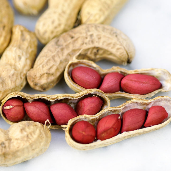 A close-up of Tennessee Red Peanuts in the shell and loose on a white marble table top.