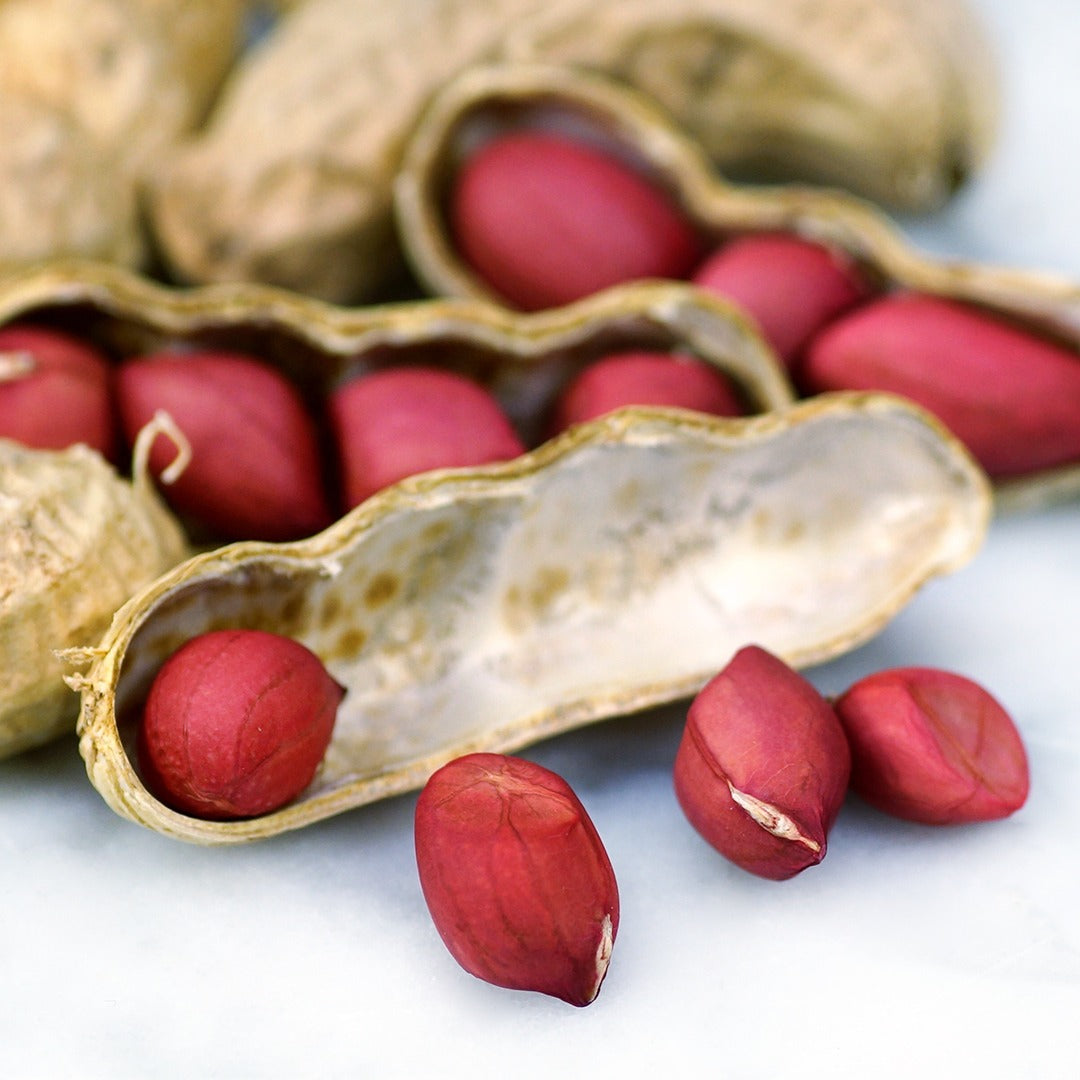A close-up of freshly peeled Tennessee Red Peanuts on a white background.