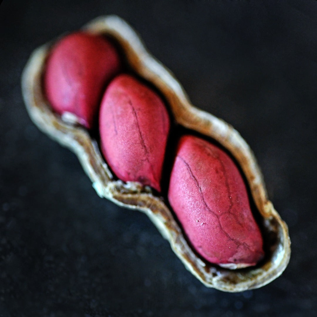A close-up macro view of Tennessee Red Peanuts in the shell on black background.