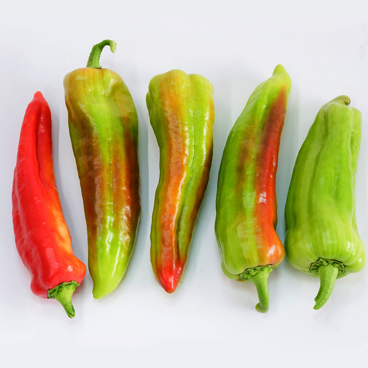 Five Giant Aconcagua Sweet Peppers in row on a white background.