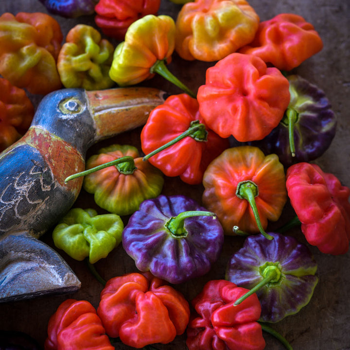 Several Aji Cachucha Sweet Peppers with wood parrot on wood background.
