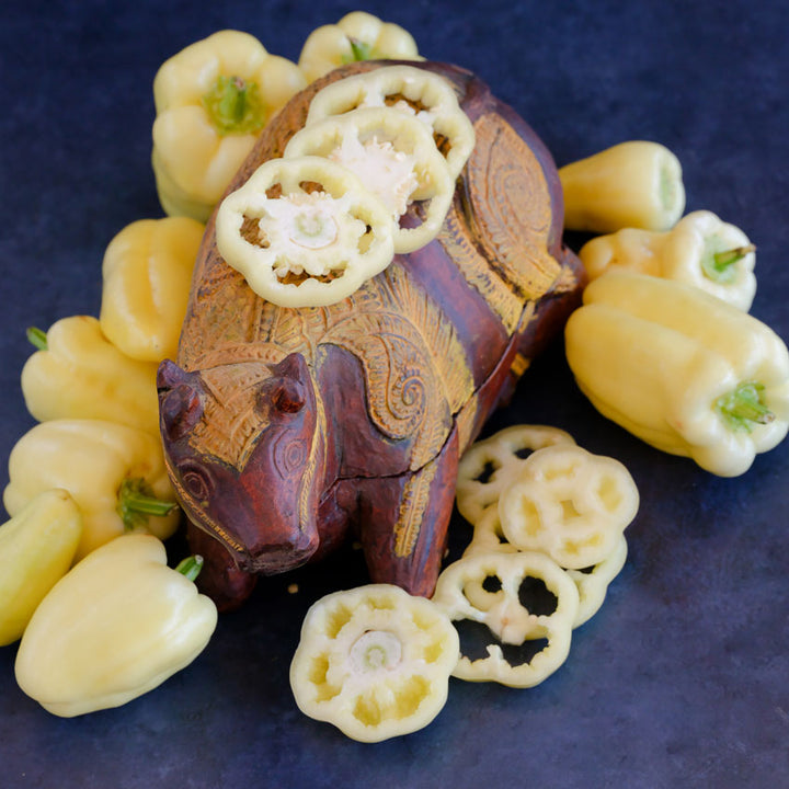 Albino Bull Nose Sweet Pepper with slices and Indian Bull decor on a dark background.