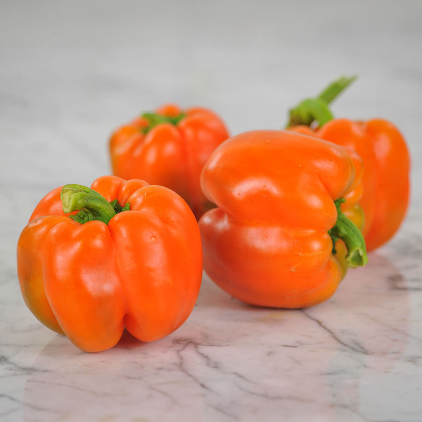 Four Etiuda Sweet Peppers, one in focus in the foreground, three out of focus in the background.
