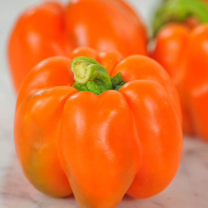 Three Orange Etiuda Sweet Peppers, one in focus in the foreground, two out of focus in the background.