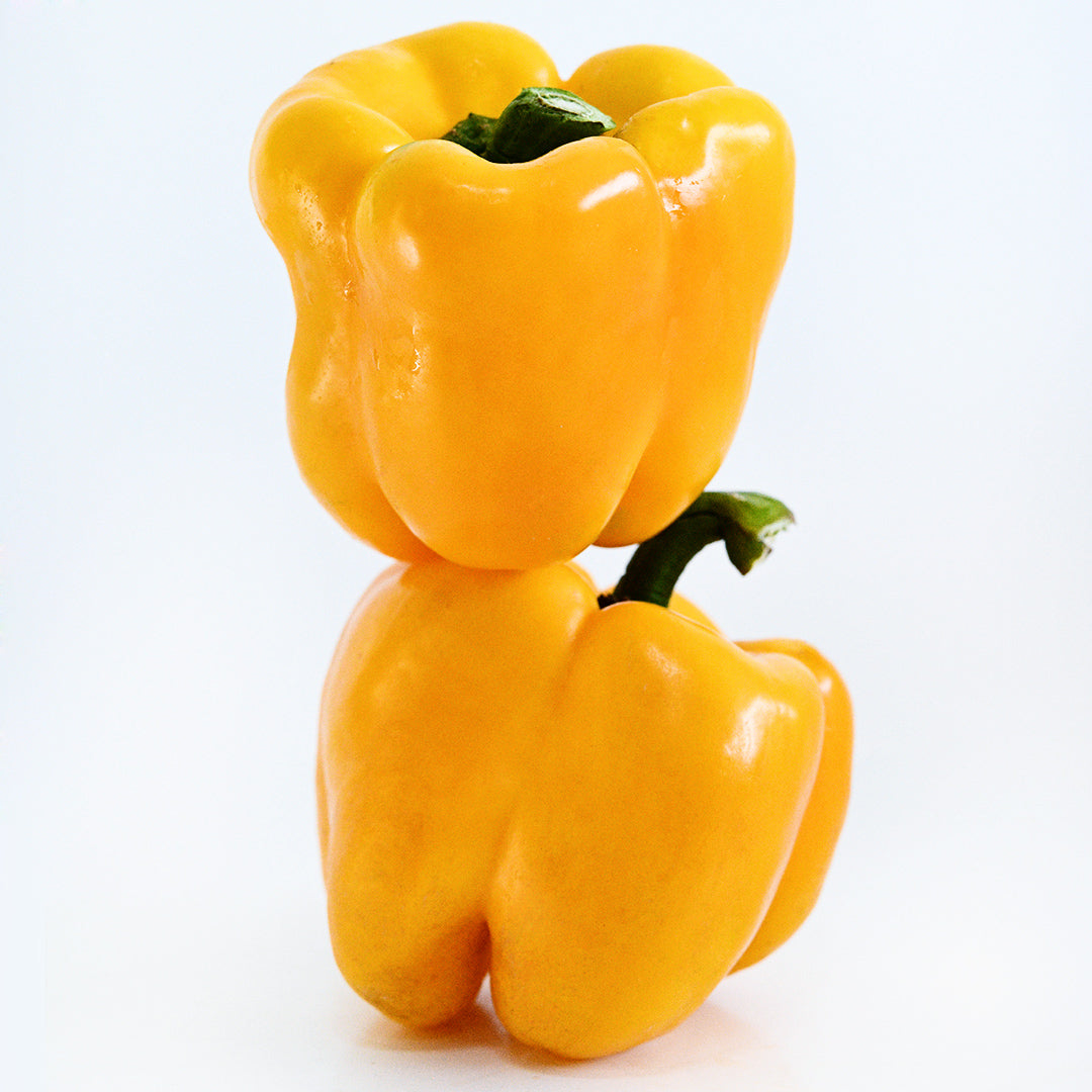 A pair of Goldenmane Lion Sweet Peppers stacked on top of each other on a white background.