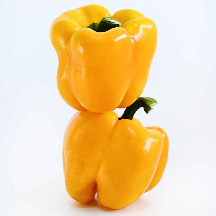 A pair of Goldenmane Lion Sweet Peppers stacked on top of each other on a white background.