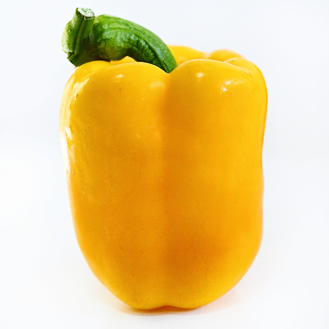 A single large Goldenmane Lion Sweet Pepper on a white background.