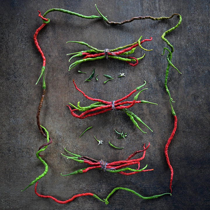 Three bundles of Kaddi Mirchi Peppers surrounded by a frame of peppers on a dark background.