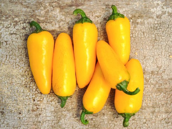 Hot Pepper Seeds, Jalapeño Lemon Spice