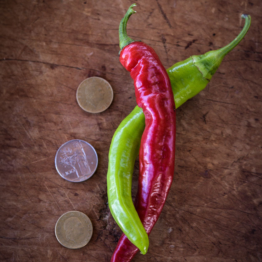 A green and red Jimmy Nardello Italian Peppers intertwined with some Asian coins on a wooden background.
