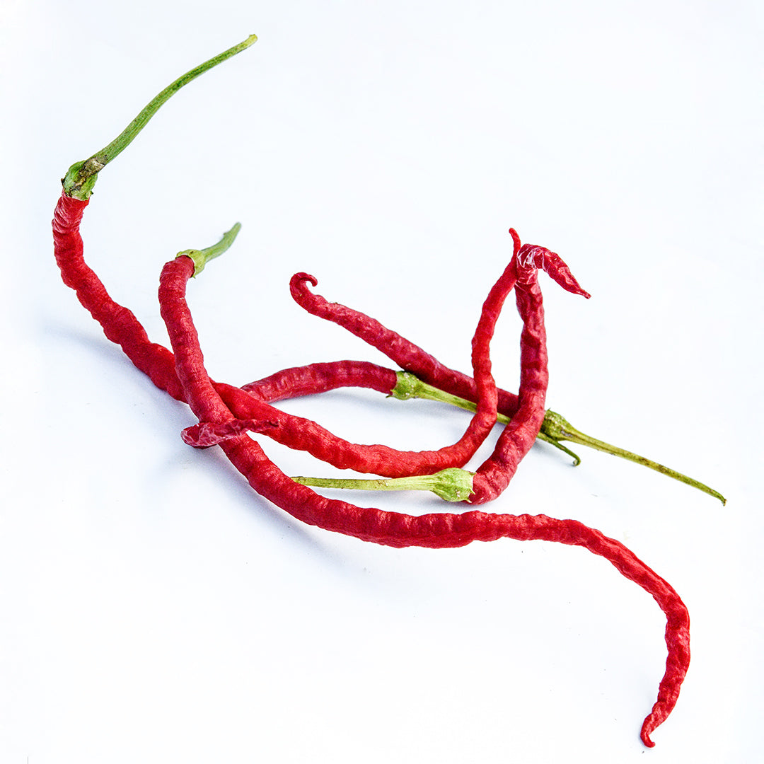 Five Kaddi Mirchi Peppers entangled on a bright white background.