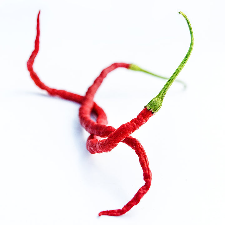 A couple of long thin Kaddi Mirchi Peppers twisted together on a white background.