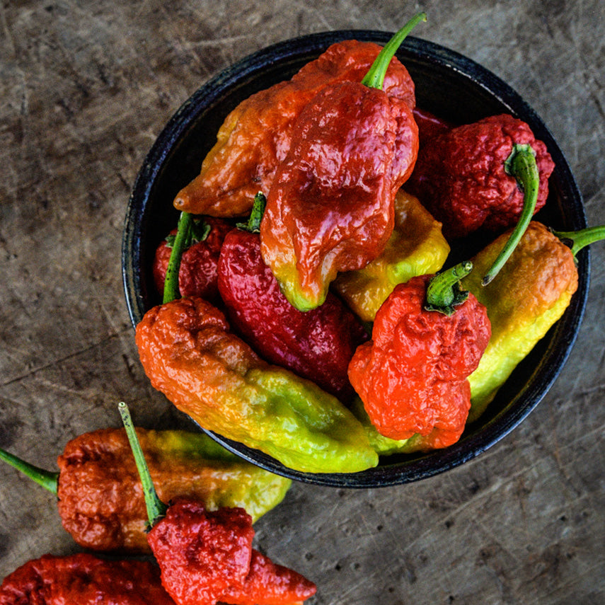 Leviathan Gnarly Scorpion Caramel Hot Peppers in a ceramic bowl on wooden background.