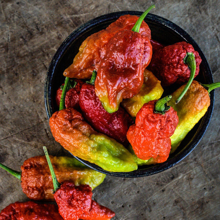 Leviathan Gnarly Scorpion Caramel Hot Peppers in a ceramic bowl on wooden background.