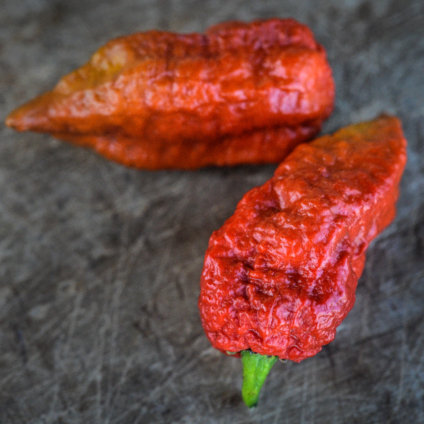 A pair of Leviathan Gnarly Scorpion Caramel Hot Peppers on weathered wood background.