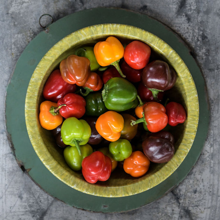 Bowl of Mini Bell Pepper Mix from above on grey background