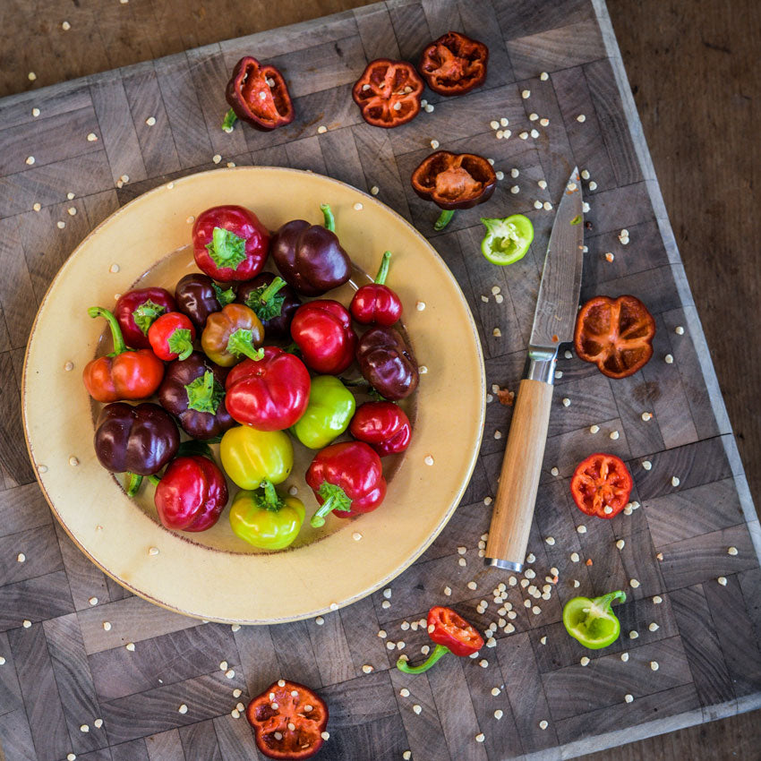 Several Mini Bell Peppers in a bowl next to a knife with pepper slices, and seeds on a wood background.