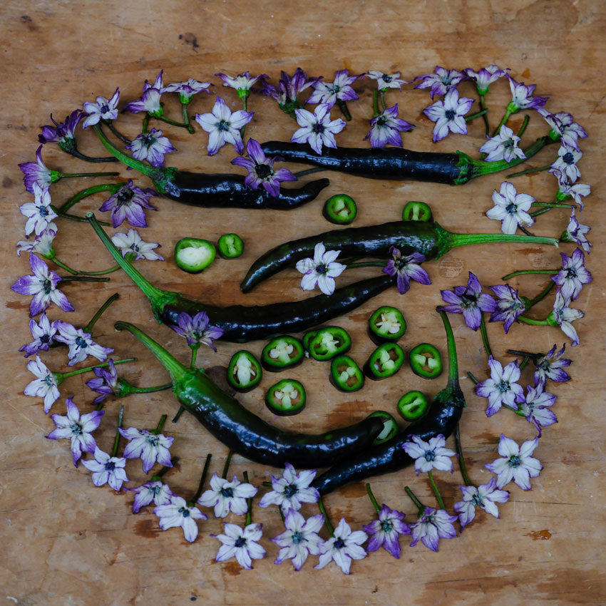 Murasaki flowers surround several Murasaki Purple Sweet Peppers and slices on a wooden background.