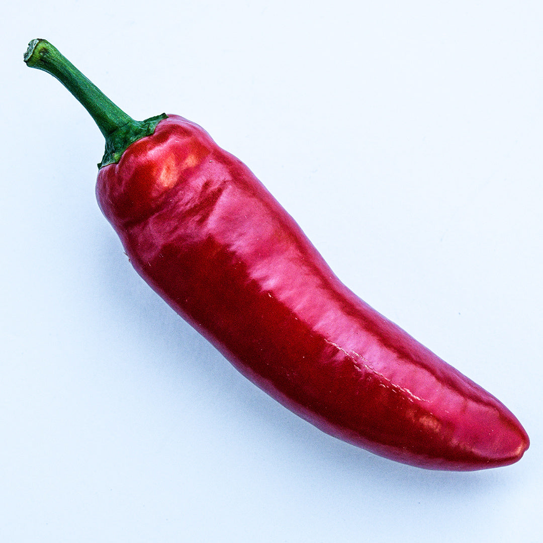A single Palmetto Punch Pepper on a white background.