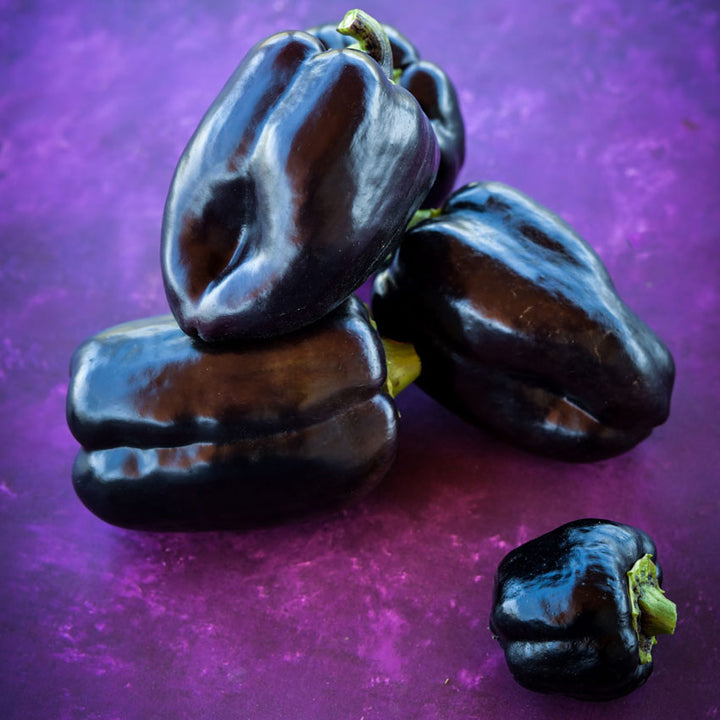 Four Purple Beauty Peppers in a pile on a light purple background.