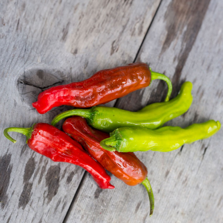 Five Shishito Sweet Peppers, three red two green, on a wood background.