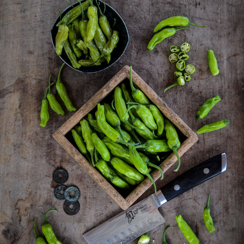 Looking from above, fresh and grilled Shishito Sweet Peppers next to a knife on a wood background