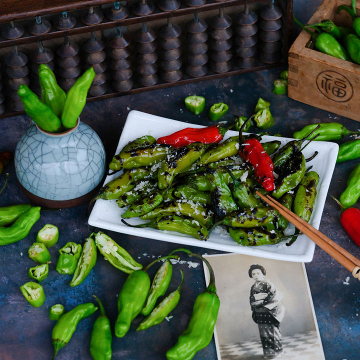 Fresh Shishito Sweet Pepper with grilled peppers on a plate, and Japanese decorations on a dark background.