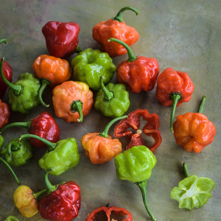 Several Bonnet Sweet Peppers of green, orange, red and yellow shades on a stone background.