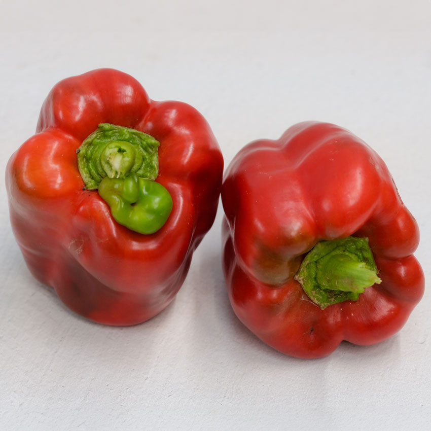 Two red Bull Nose Peppers on a white background.
