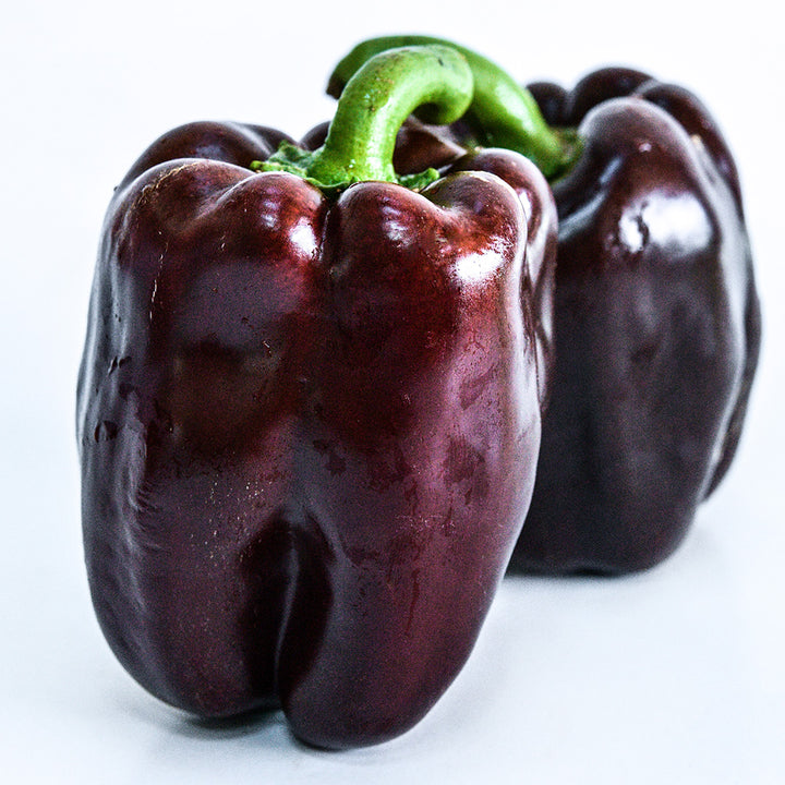A couple of Chocolate Beauty Sweet peppers on a white background.