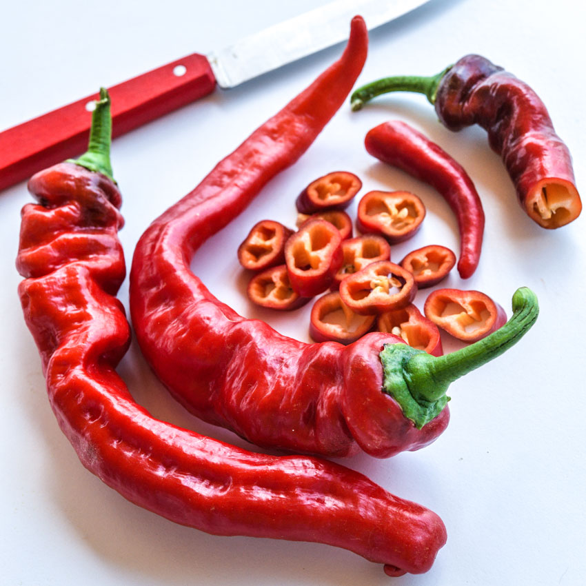 Several red Jimmy Nardello Italian Peppers with some pepper rings and a red-handled knife in the background.