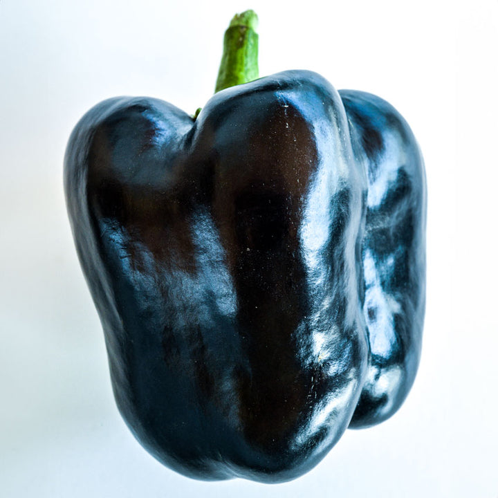 Close-up of a Purple Beauty Pepper next to slices on a light background.