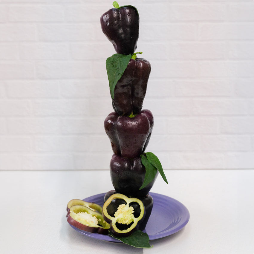 Five deep purple Zulu Sweet Peppers stacked one on top of another on a purple plate.
