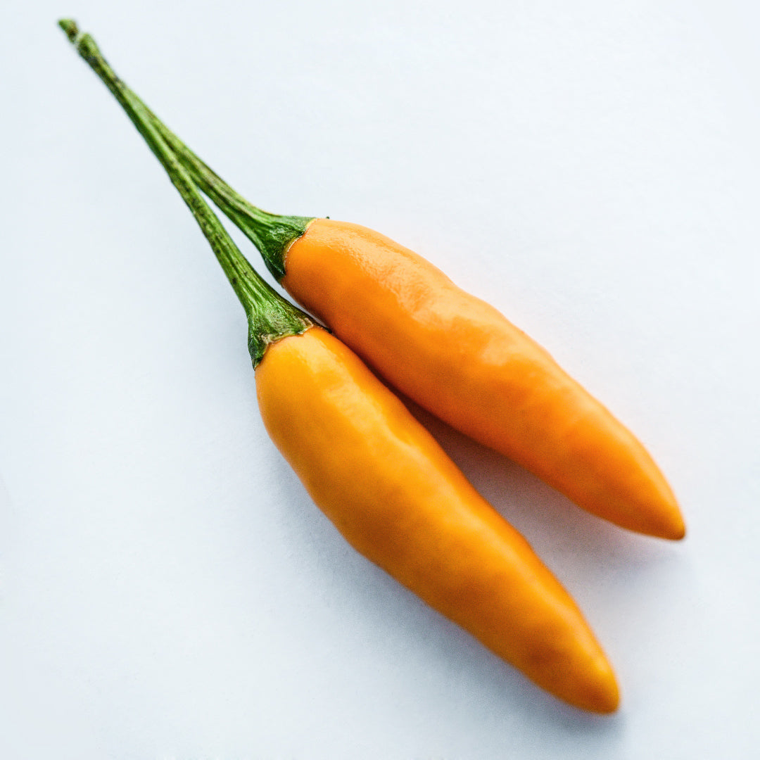 A couple of Yellow Piquin Peppers on a white background.