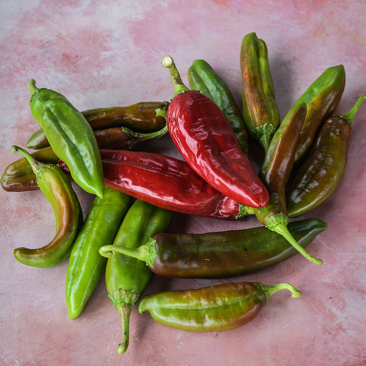 Anaheim Peppers at varying maturity states.