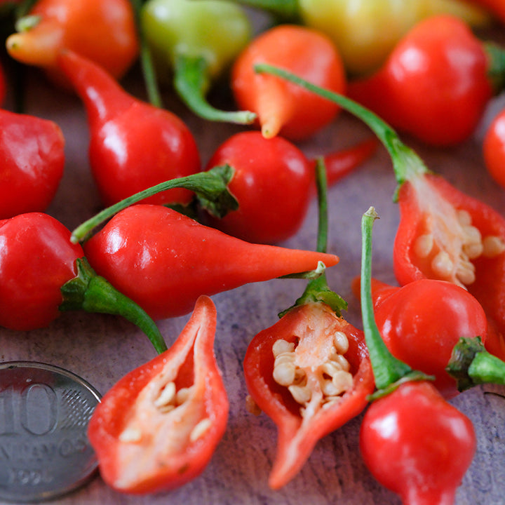 Close-up Biquinho Red Peppers