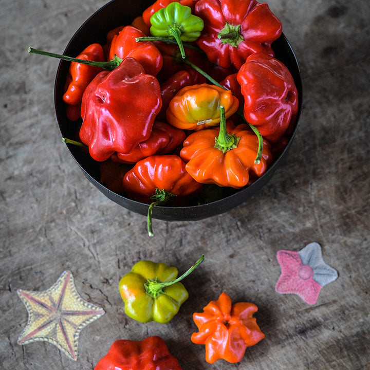 Hot Pepper Seeds, Brazilian Starfish