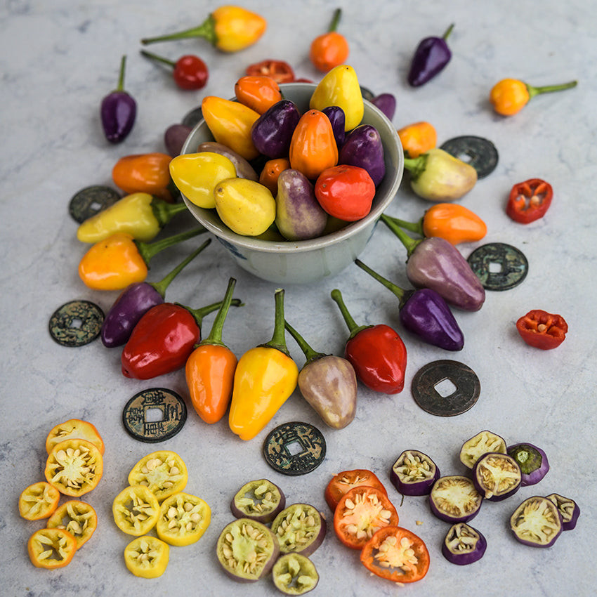 Chinese Five Color Pepper assortment and slices on marbled countertop.