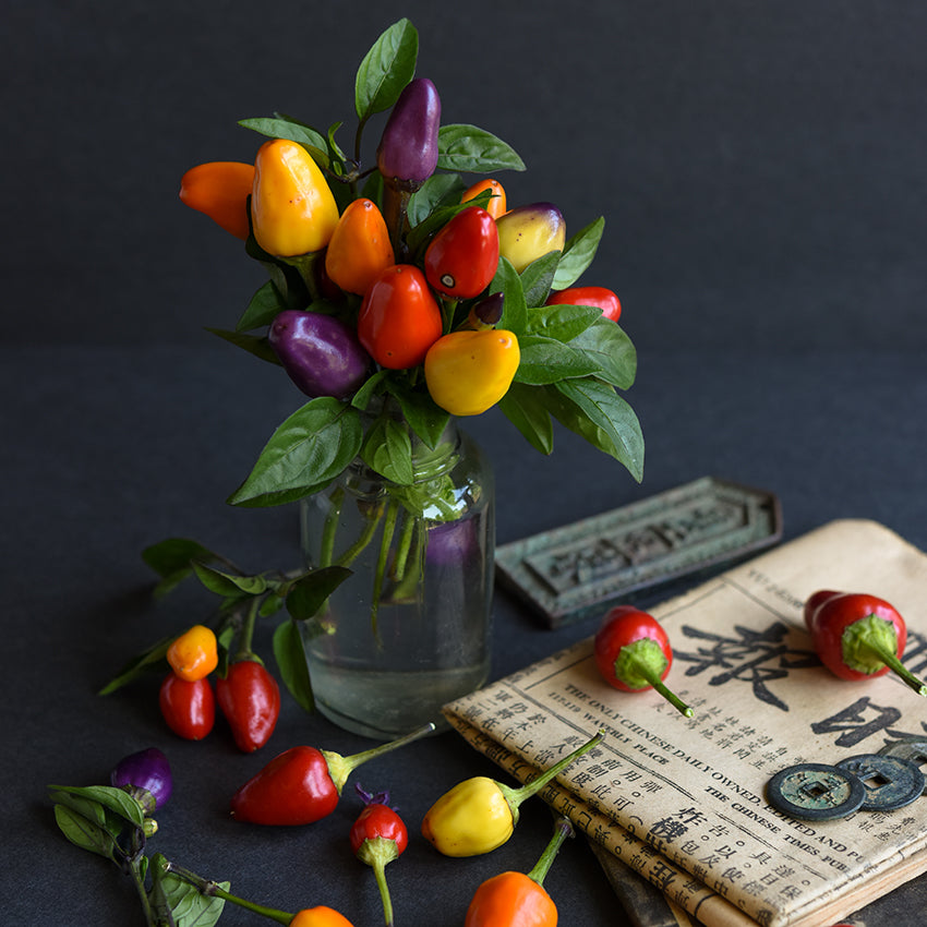 Chinese Five Color Pepper bouquet in varying colors.