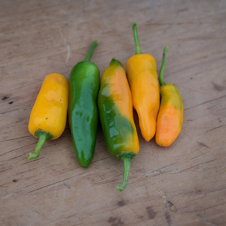 Green and yellow Datil Peppers on wooden table top.