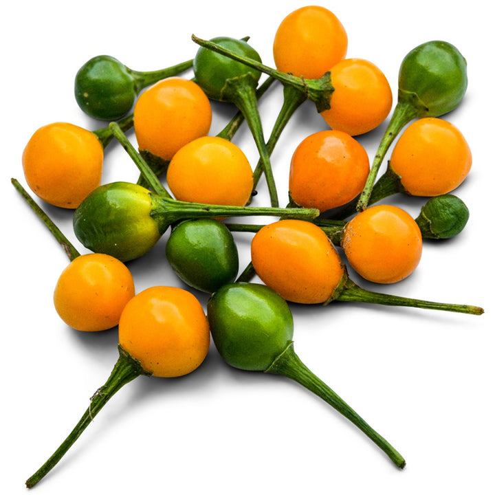 Aji Charapita Hot Peppers on a white background.