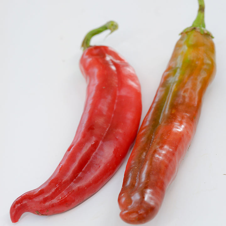 Red Big Jim Peppers on white background.