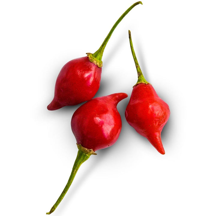 Trio of Biquinho Red Hot Peppers on a white background.