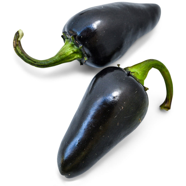Pair of Black Hungarian Hot Peppers on a white background.