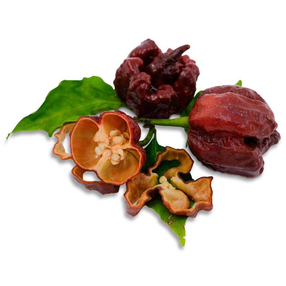 A couple whole and one sliced Chocolate Seven Pot Hot Peppers on a white background