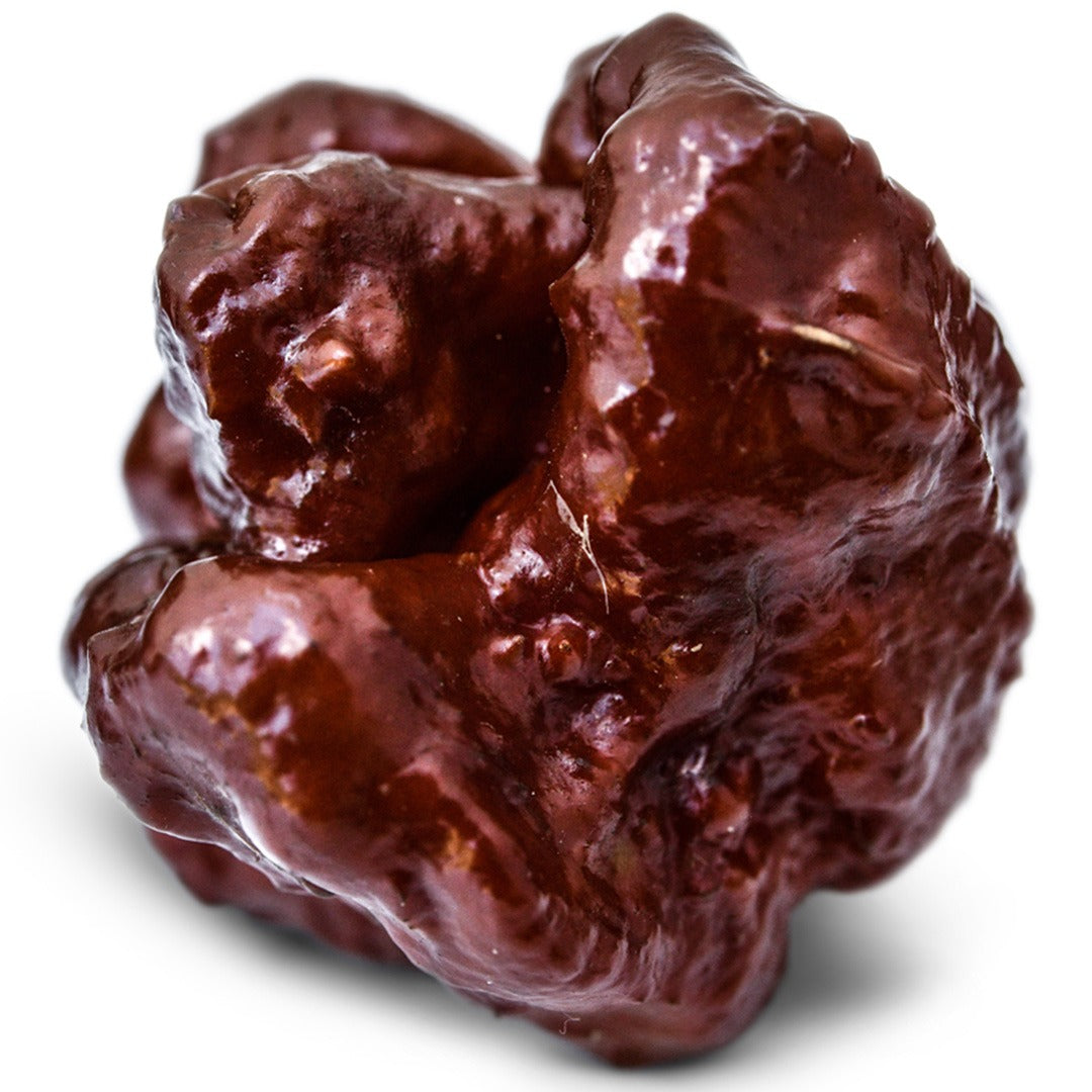 Close up of Chocolate Trinidad Scorpion Hot Pepper on a white background.