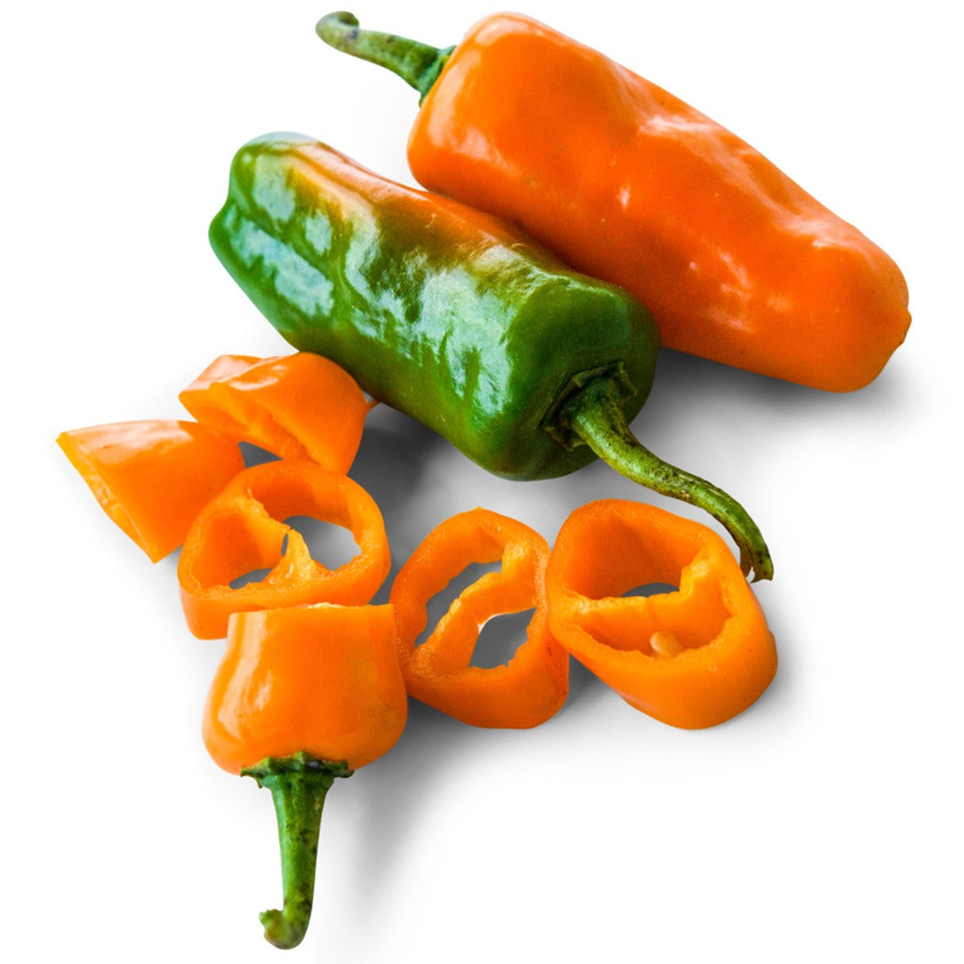Datil Hot Peppers on a white background.